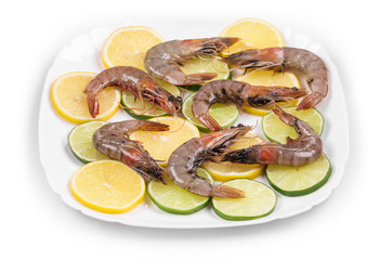 Poster - Raw tiger shrimps 