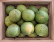 pomelos in wood  box