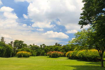 Wall Mural - Beautiful park