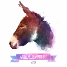 Vector Set Of Watercolor Illustrations. Cute Donkey