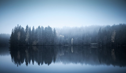 Wall Mural - Landscape with threes on a coast, fog and still lake