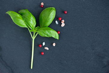 Sticker - basil and pink peppercorns on black background