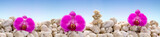 Fototapeta Panele - Panorama with purple orchids on the white stones.