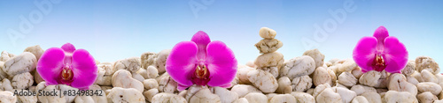 Fototapeta na wymiar Panorama with purple orchids on the white stones.