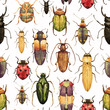 Watercolor bug beetle pattern