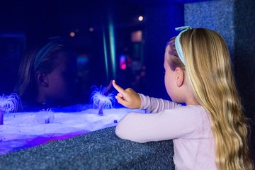 Wall Mural - Young woman pointing a sea anemone in tank