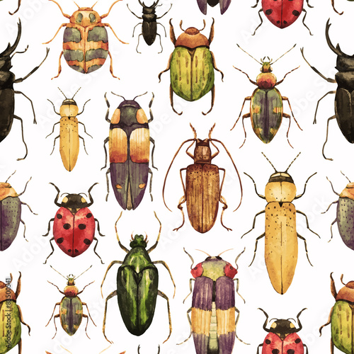 Fotomural Watercolor bug beetle pattern