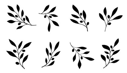 olive branch