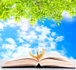 Wall Mural - Opened book on table on nature background