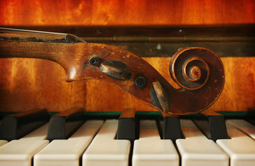 Beautiful violin