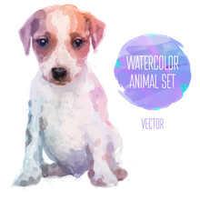 Vector Set Of Watercolor Illustrations. Cute Jack Russel