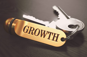 Wall Mural - Keys to Growth. Concept on Golden Keychain.