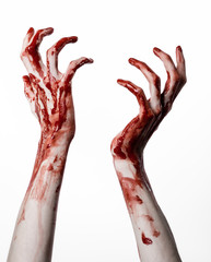 bloody hands killer zombie isolated on white background