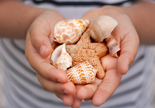 Little Girl Holding Seashells And Starfish In Hands