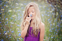 Portrait Of Young Girl Smelling Flower (6-7) In Chicory Field
