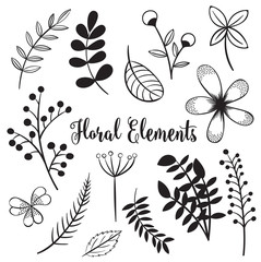 Wall Mural - hand drawn flowers and foliage elements