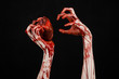 terrible bloody hand hold torn bleeding human heart isolated