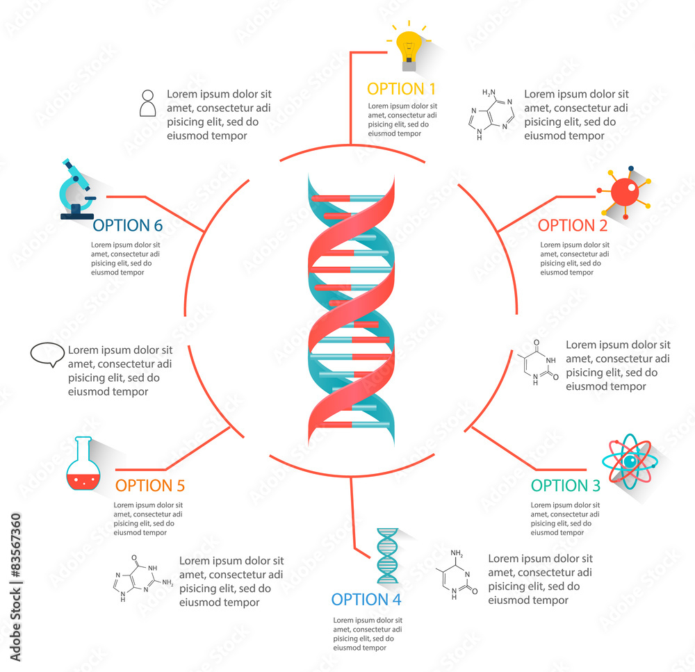 Dna Fact File DNA structure infographic Stock Vector | Adobe Stock