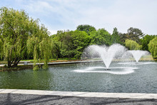 Fountains In The Park Pond