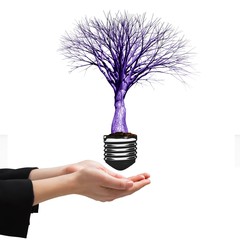 Poster - Composite image of businesswomans hands presenting