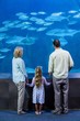 Happy family looking at the fish tank