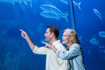 Poster - Happy couple pointing a fish tank