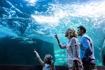 Family pointing a fish in a tank