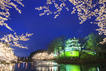 Canvas Print - 高田城と桜のライトアップ　新潟県上越市