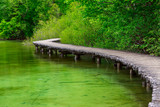 Fototapeta Pomosty - Boardwalk in the park Plitvice lakes