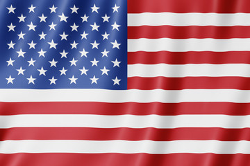 Wall Mural - Flag of the United States of America