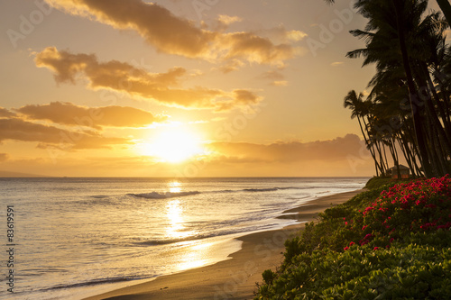 Fotografie, Obraz Tropical sunset on Kaanapali Beach in Maui, Hawaii.