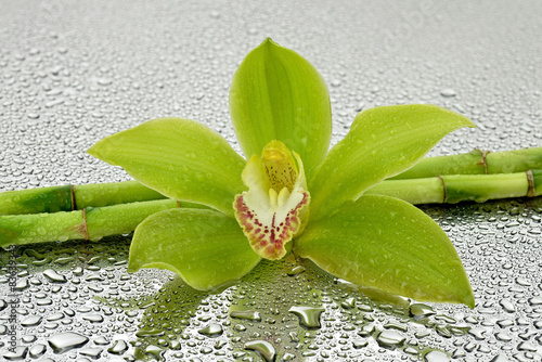 Naklejka - mata magnetyczna na lodówkę Mokra orchidea z bambusem