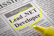 Lead NET Developer Vacancy in Newspaper.