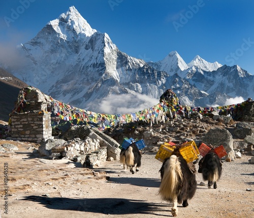 Plakaty Himalaje  ama-dablam-z-karawana-jakow-i-flagami-modlitewnymi