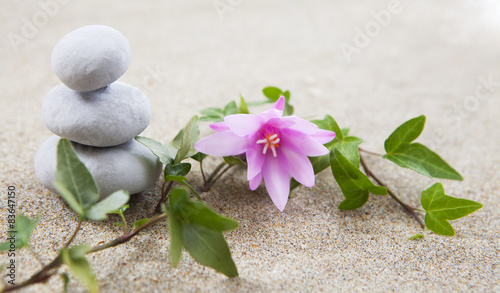 kamienie-do-masazu-zen-i-kwiatki