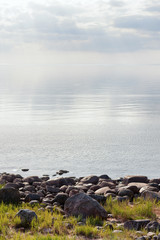 Wall Mural - Seashore with stones and green grass in the spring