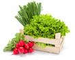 Fresh spring vegetables in crate