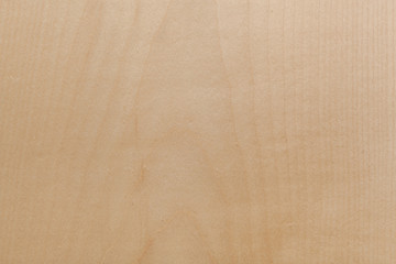 Wall Mural - maple wood texture