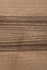 Wall Mural - walnut texture wood