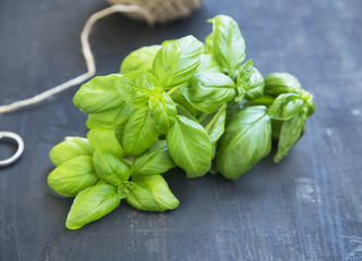 Wall Mural - Fresh Aromatic Basil Herb