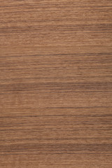 Wall Mural - teak wood texture