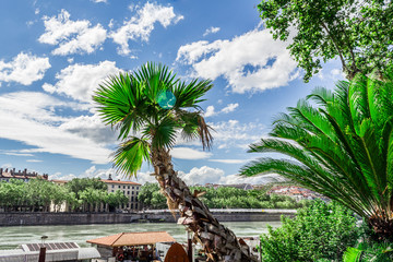 Poster - Les quais du Rhône à Lyon 