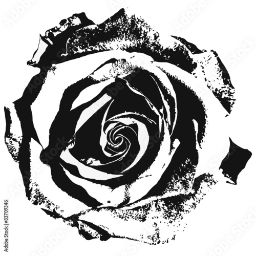 Naklejka dekoracyjna Stylized rose siluette black and white