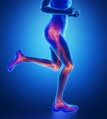 Wall Mural - Knee, hip, ankle - running man leg scan in blue