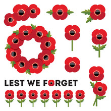 Isolated Elements Red Poppies Anzac Day Remembrance Day