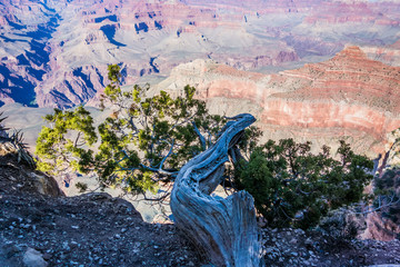 Wall Mural - scenery around grand canyon in arizona