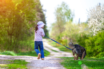 Wall Mural - Happy little dog with dog running in countryside