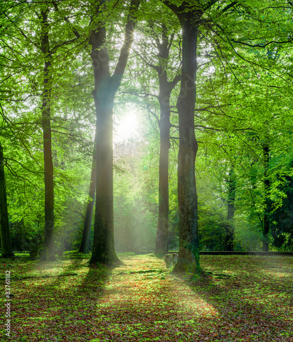 Europaeerin Vollbusige Wald Onanieren