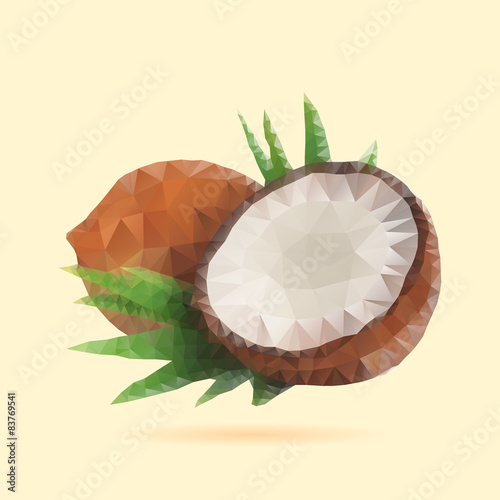 Fototapeta na wymiar Połówki kokosa na tle wektor