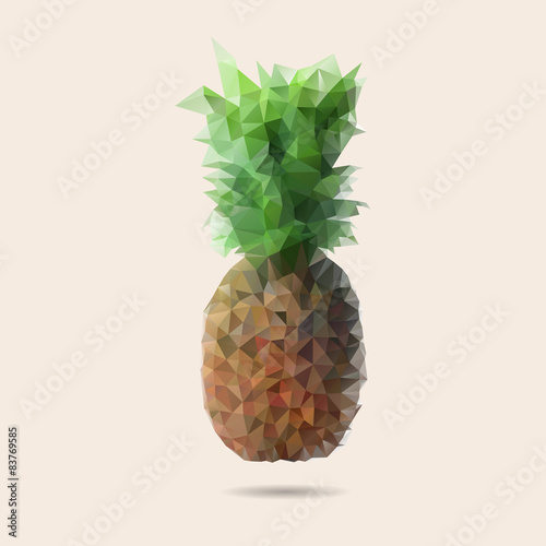 Naklejka dekoracyjna Owoc ananasa na tle - wektor